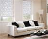 RollerShades1