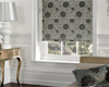 RollerShades1