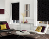 RollerShades1