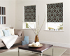 RollerShades1