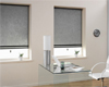 RollerShades1
